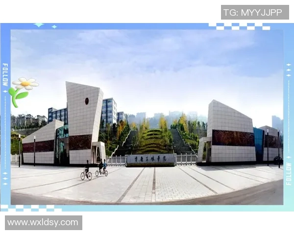 从零起步掌握篮球技巧与个人能力提升全方位指南